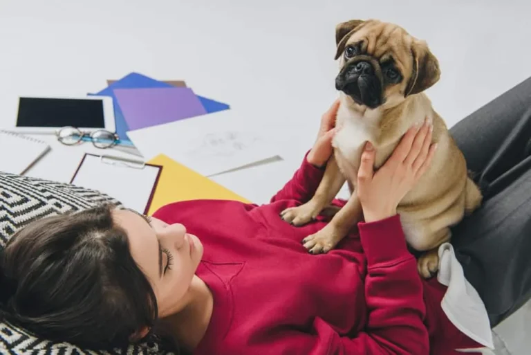 Why Does My Dog Stand on Me? 9 Possible Reasons
