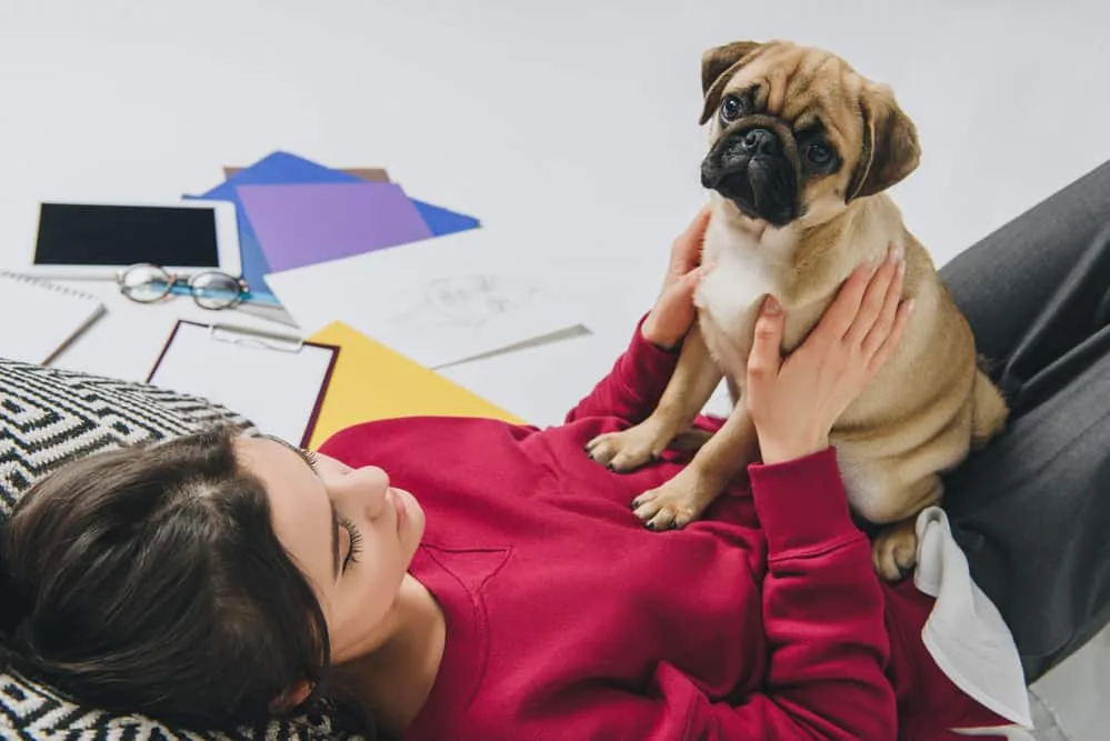 Why Does My Dog Stand on Me? 9 Possible Reasons