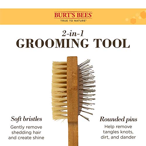 best brushes for shih tzu puppy photo 6","source":"library