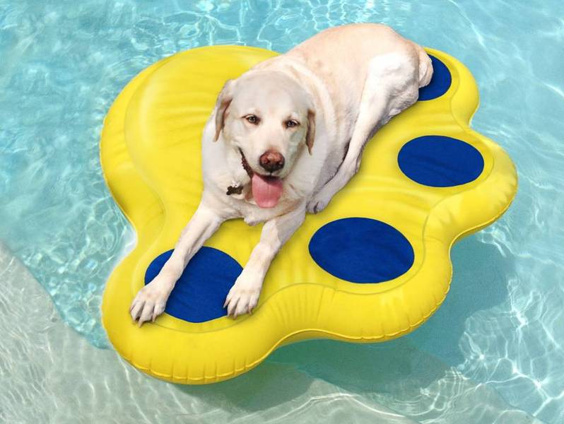Paws Aboard Doggy Lazy Raft, Puncture Resistant Vinyl Dog Float