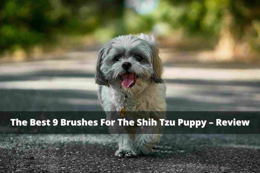 The Best 9 Brushes For The Shih Tzu Puppy – Review