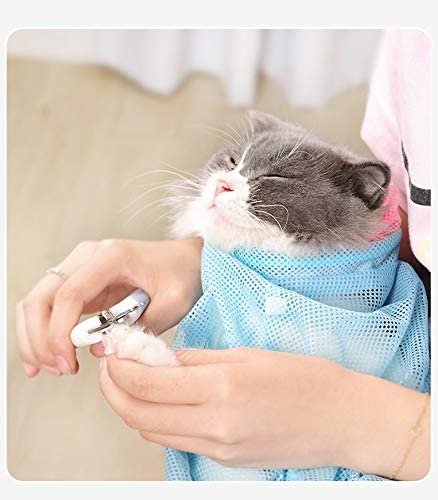 best-cat-grooming-bag-CatYou-Cat