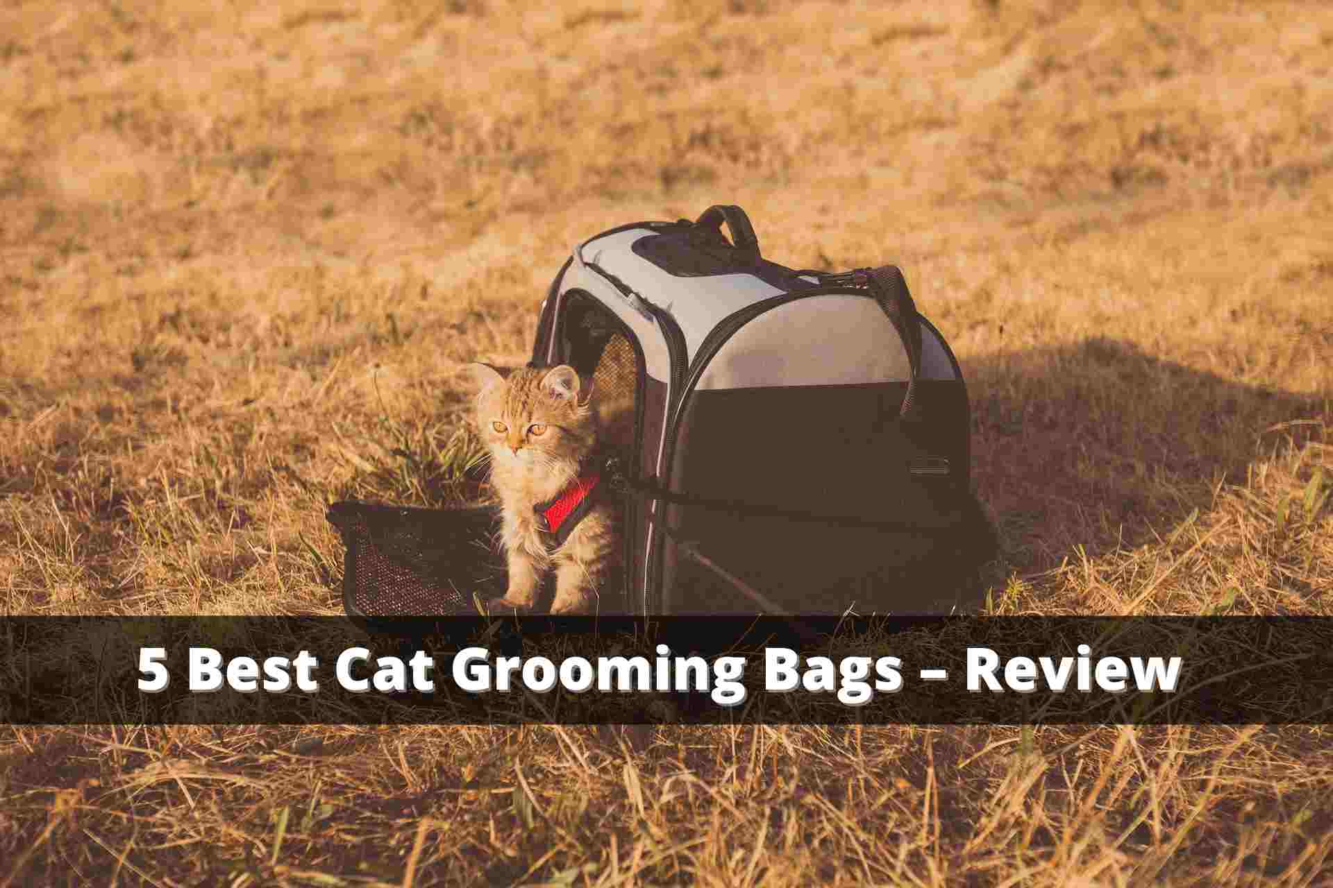 These are 5 Best Cat Grooming Bags Ultimate Guide