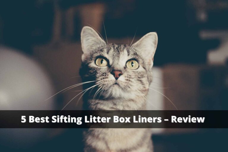 5 Best Sifting Litter Box Liners – Review