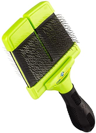 best brushes for short hair chihuahua photo 2","source":"library