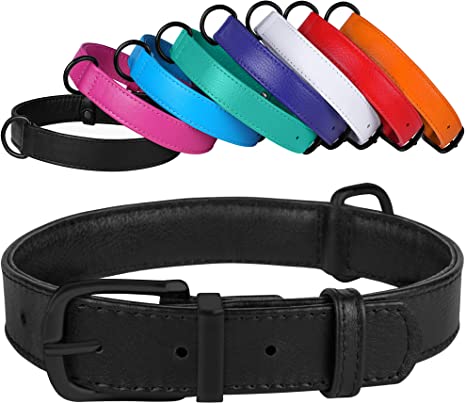 best collars for chihuahua photo 5