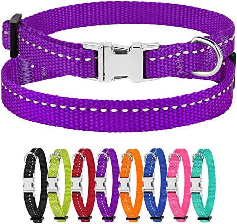 best collars for chihuahua photo 6