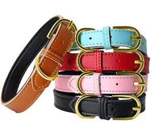 Aolove-Basic-Classic-Padded-Leather-Pet-Collar
