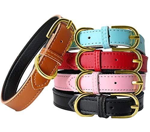 best collars for chihuahua photo 4