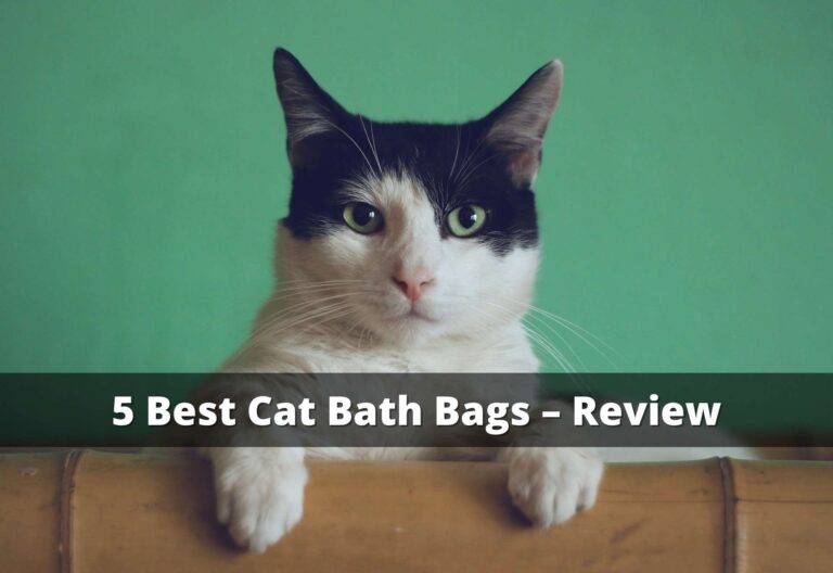best-cat-bath-bags
