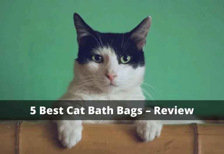 Best Cat Bath Bags: 5 Grooming Picks