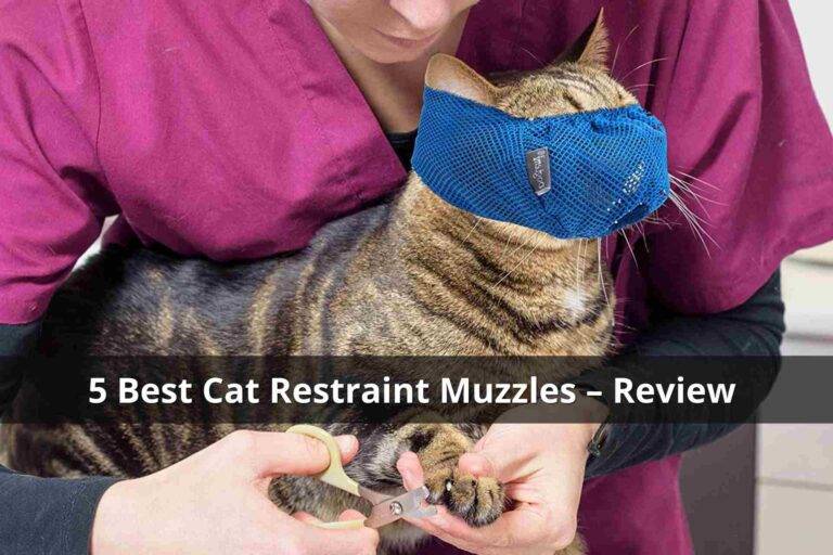 best-cat-restraint-muzzles