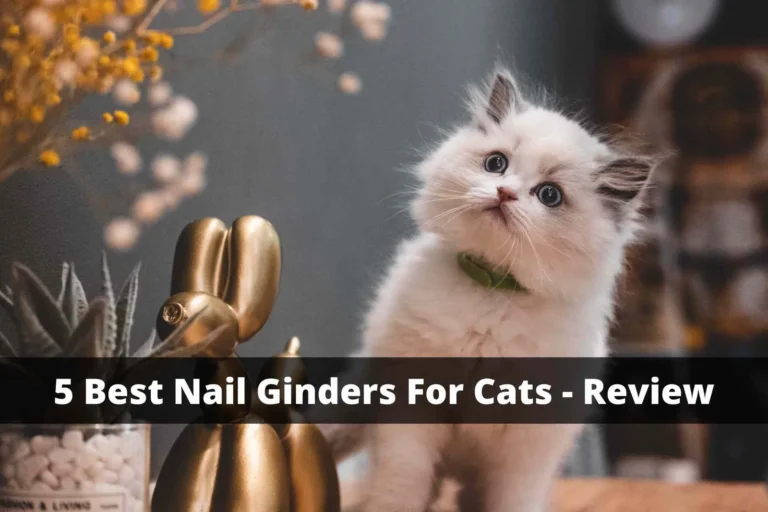 Best Nail Grinders for Cats: 5 Top Picks