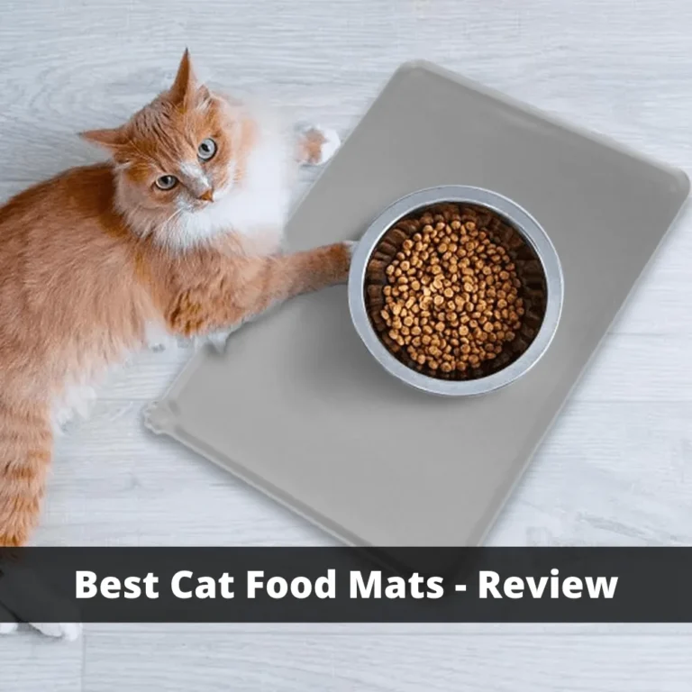 Best Cat Food Mats: 5 Waterproof Picks