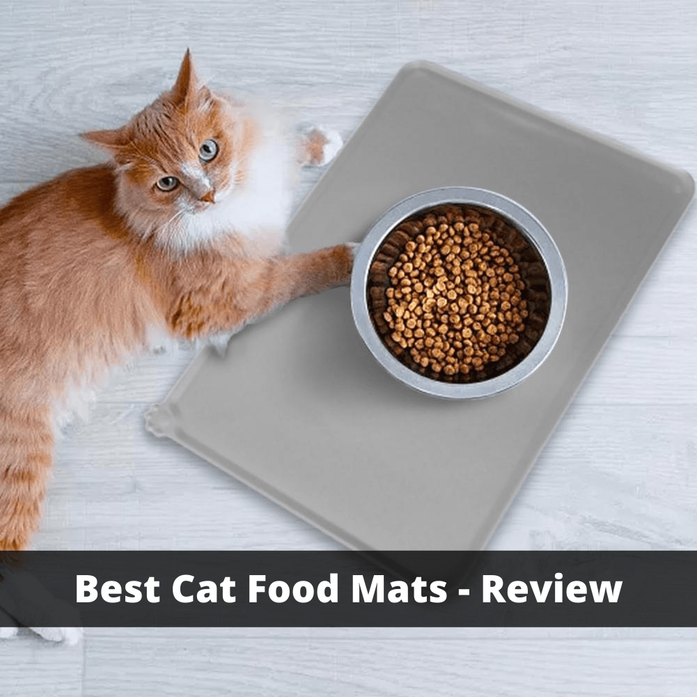 best-cat-food-mats