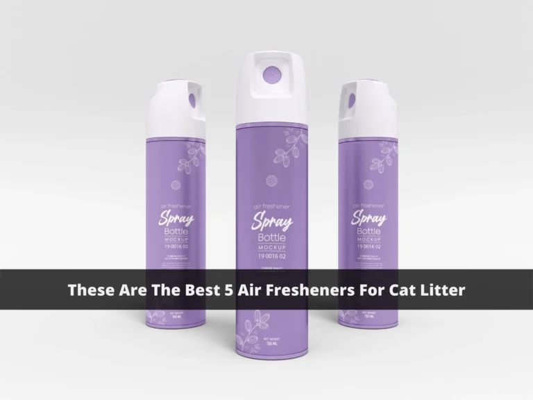 Best Air Fresheners for Cat Litter: 5 Picks