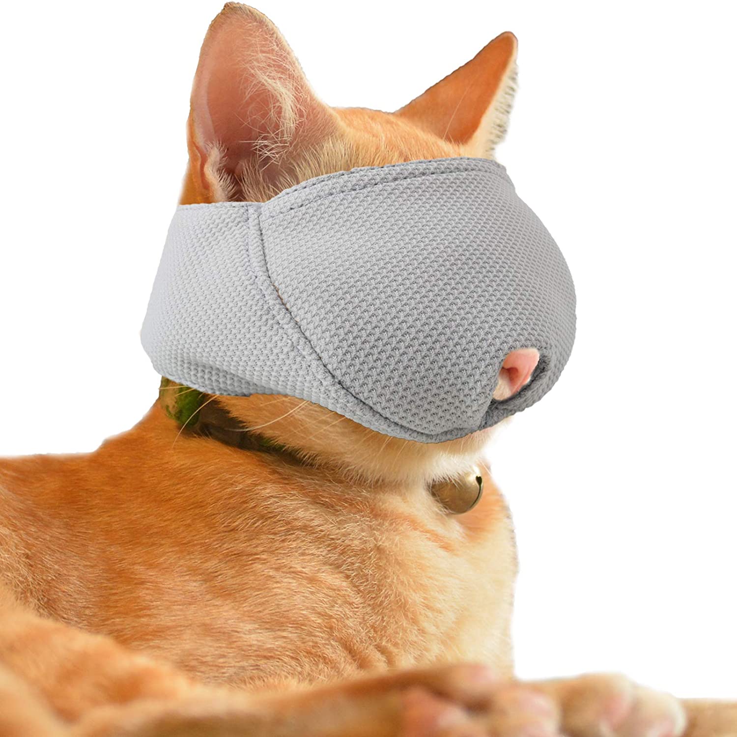 wintchuk-cat-muzzle