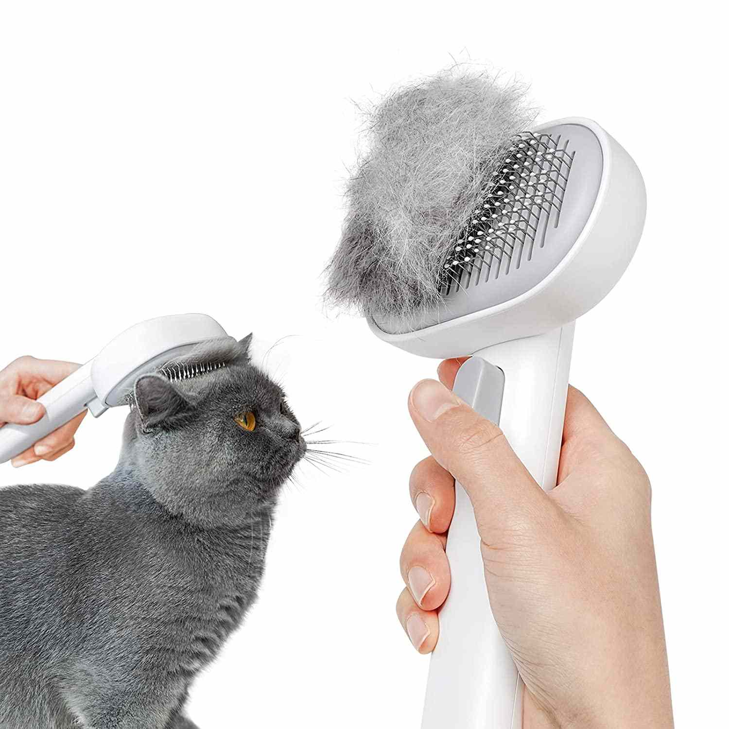 best brushes for british shorthair cats photo 3