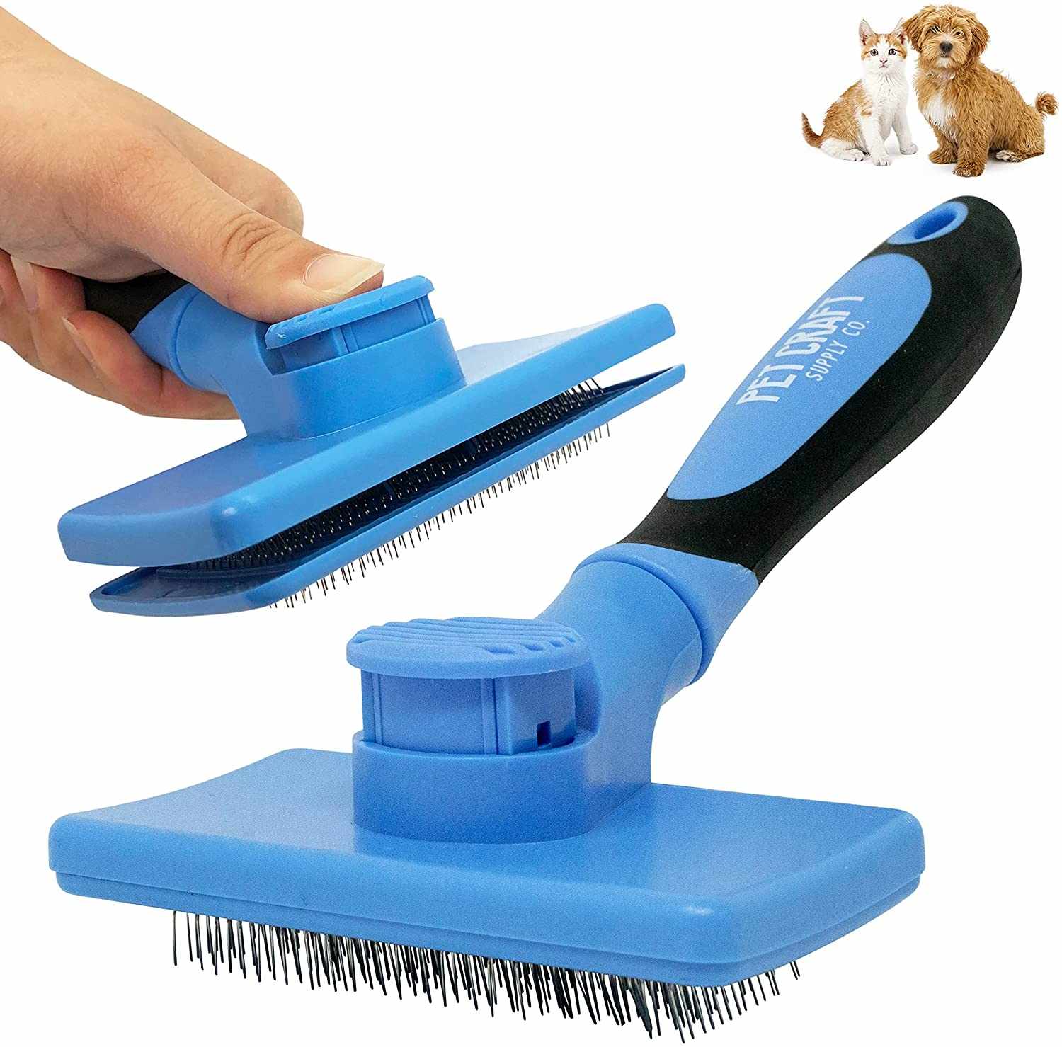 best brushes for british shorthair cats photo 4