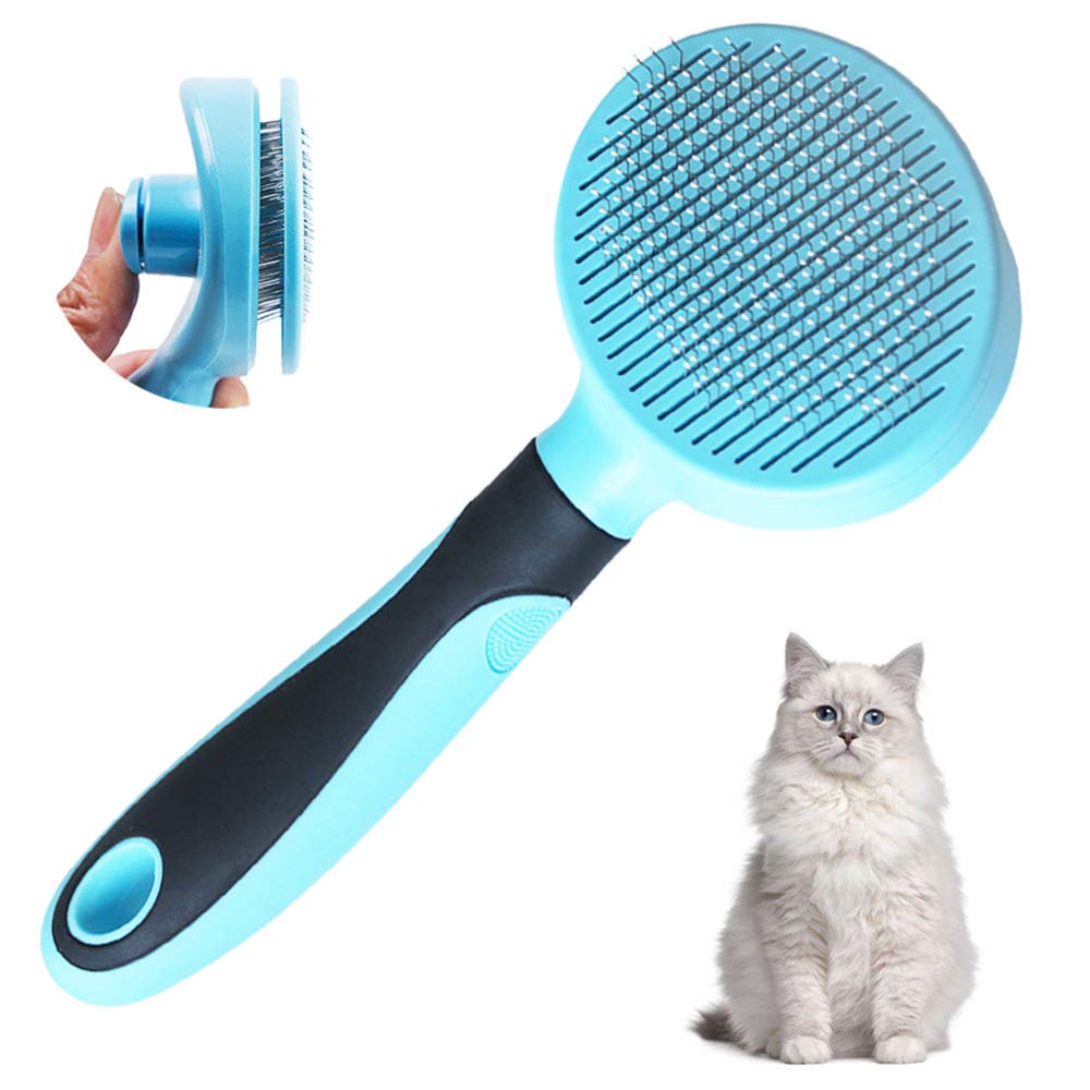 best-cat-brush-for-maine-coon
