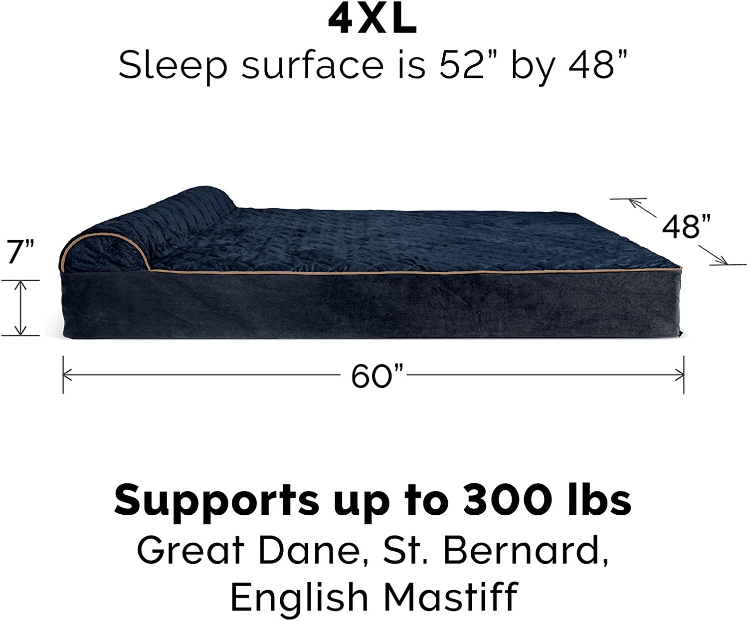 best beds for australian shepherd photo 2