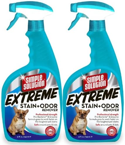 These are 5 Best Air Fresheners For Cat Urine - Review