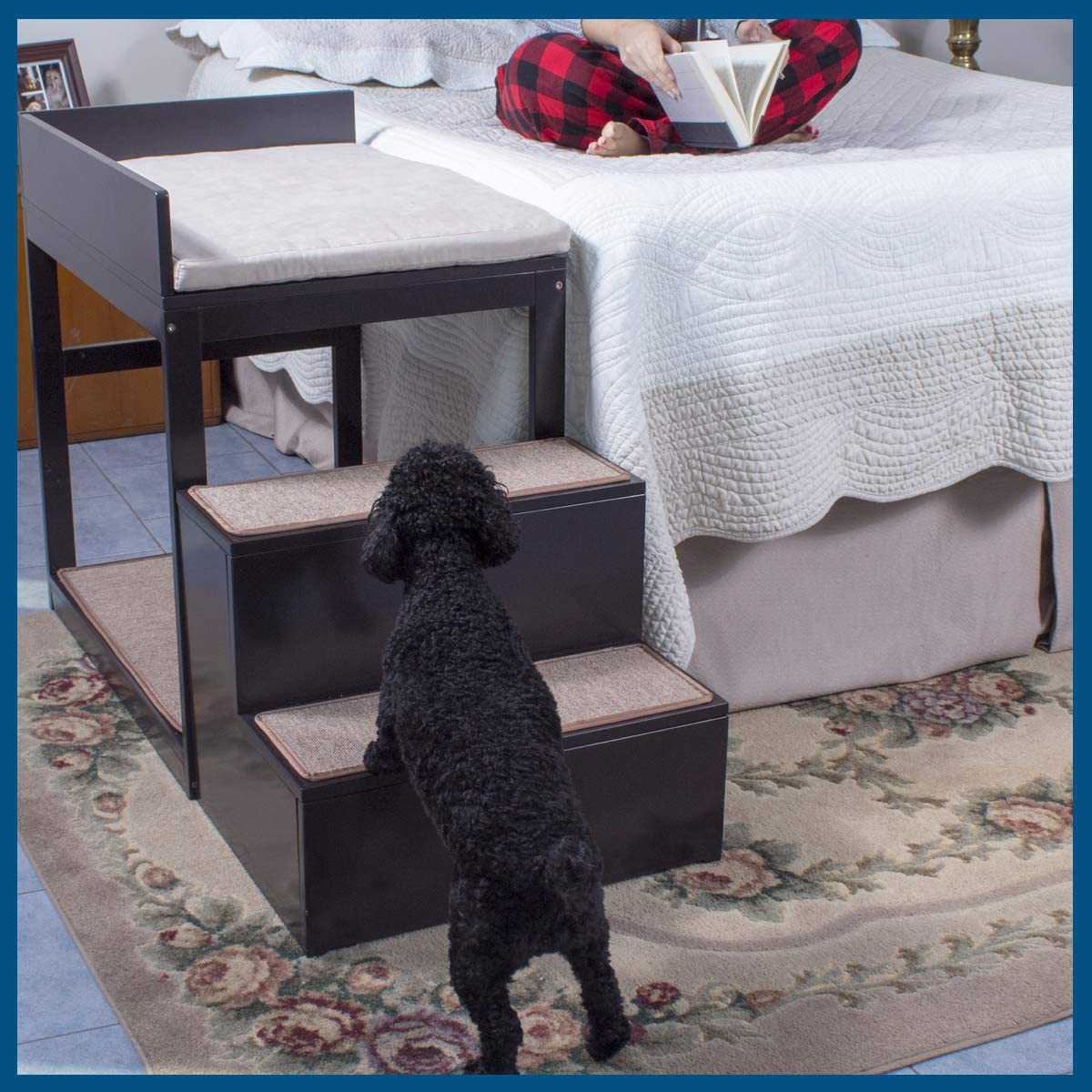 best dog beds for bulldogs photo 5"},"link_to":"custom