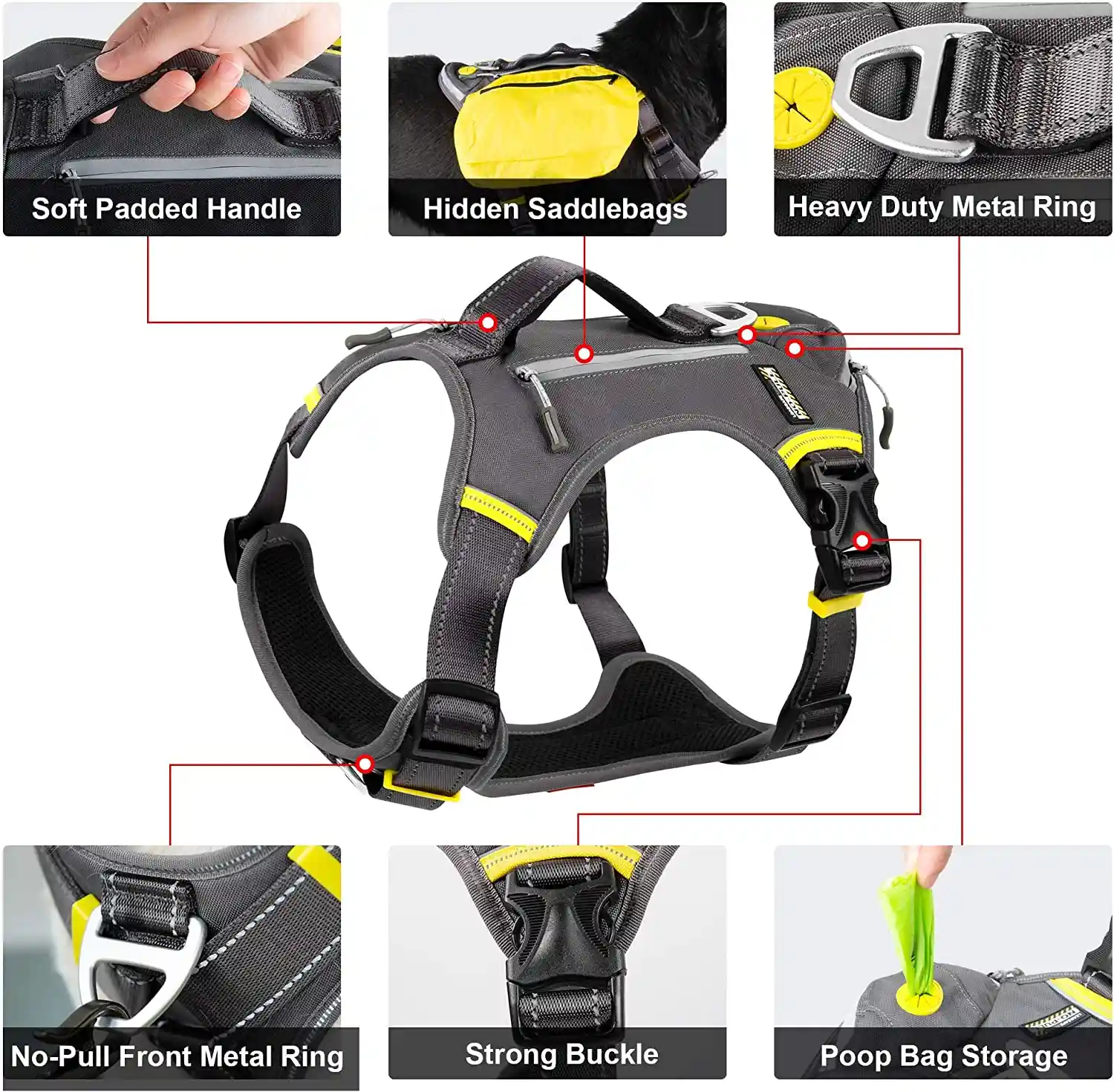 best harness for australian shepherd photo 2