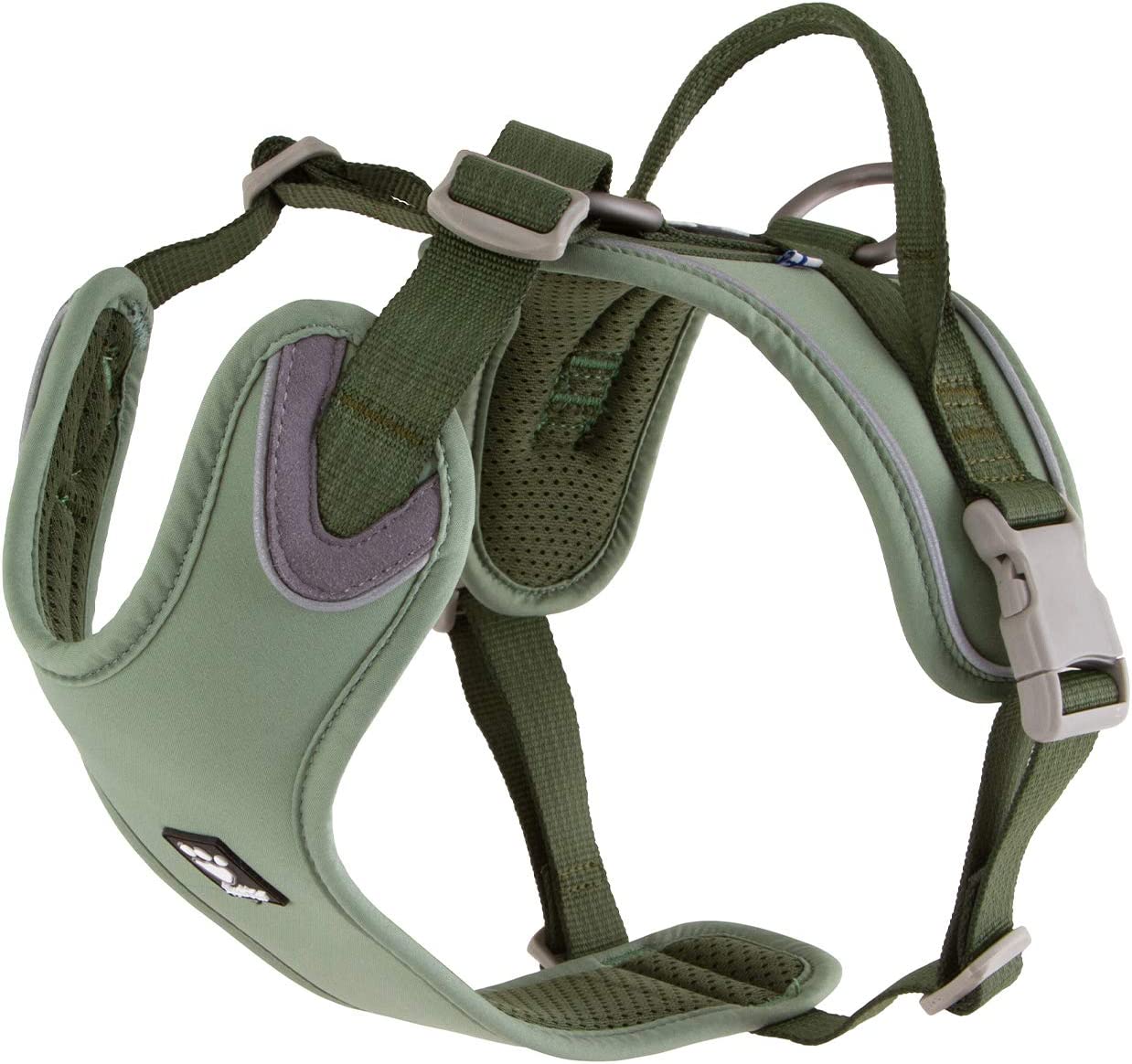 best harness for australian shepherd photo 3