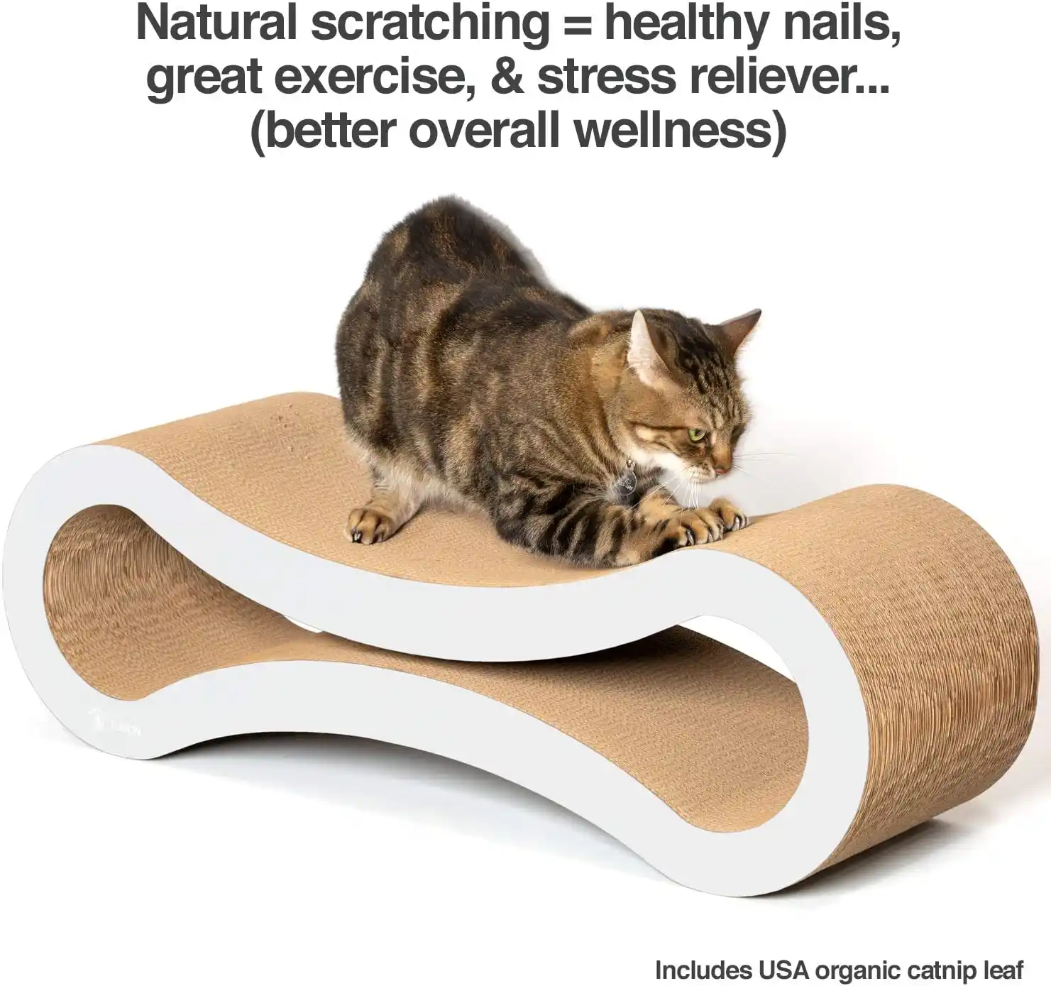 best cat scratcher to file nails photo 4","source":"library