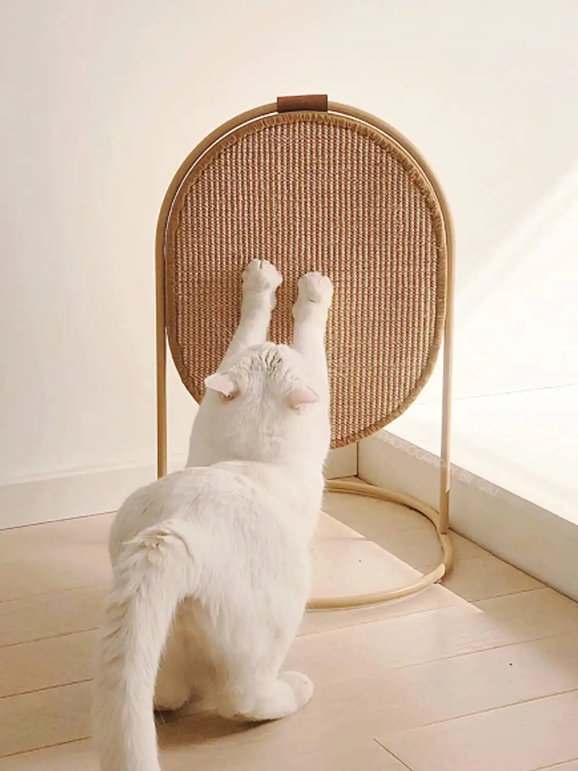best cat scratcher to file nails photo 3","source":"library