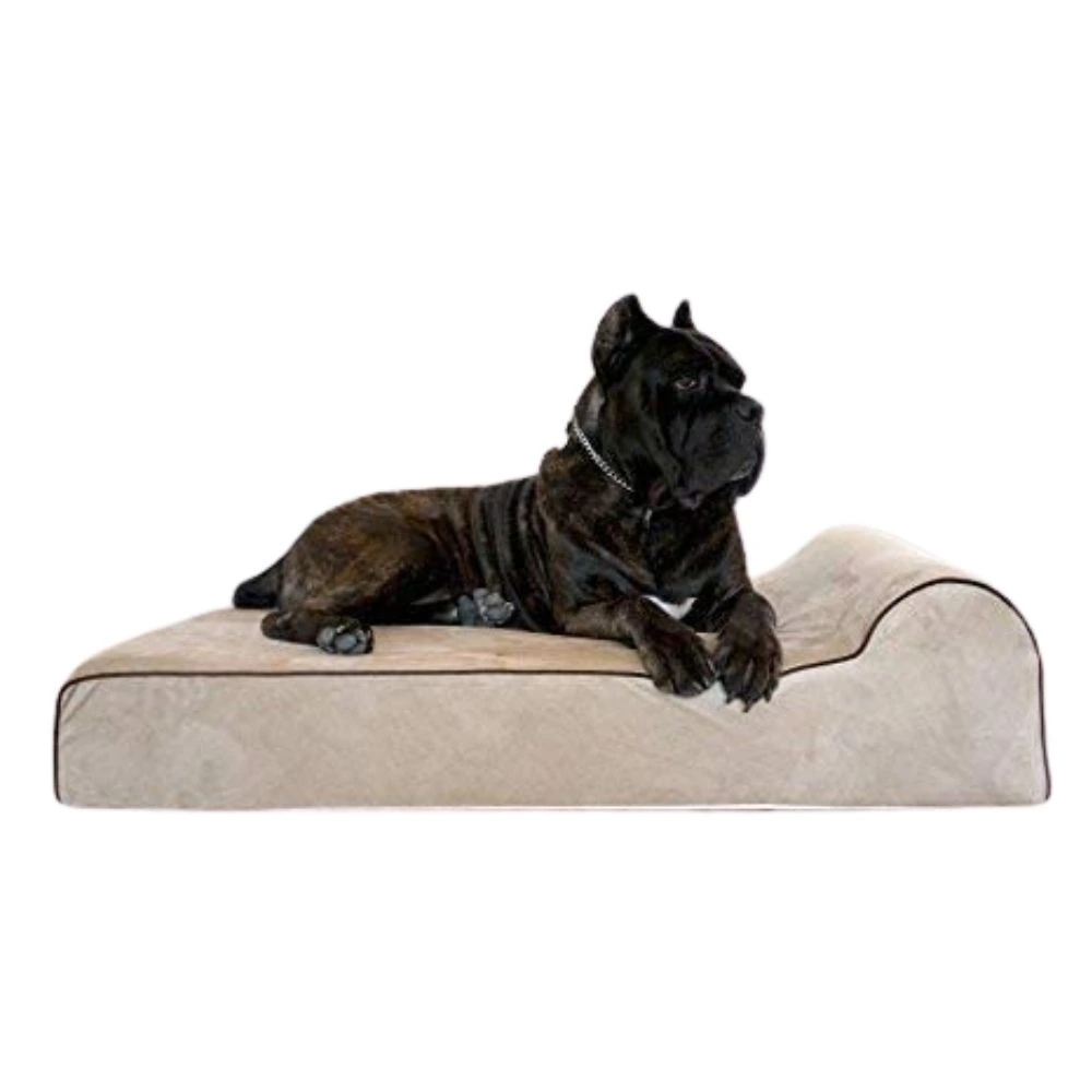 best dog beds for dachshunds photo 2