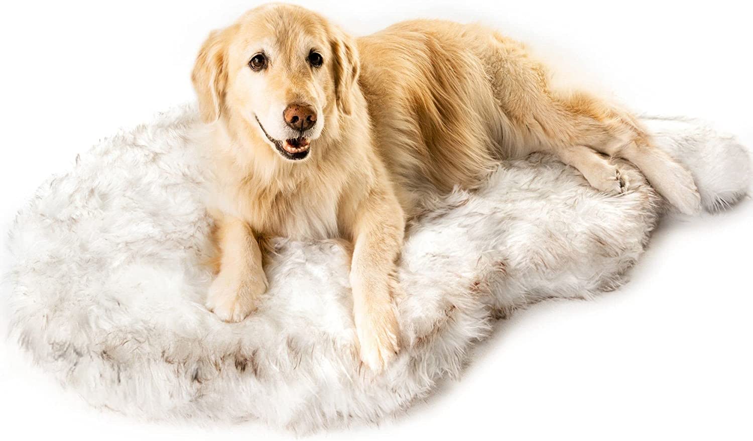 best dog beds for dachshunds photo 6