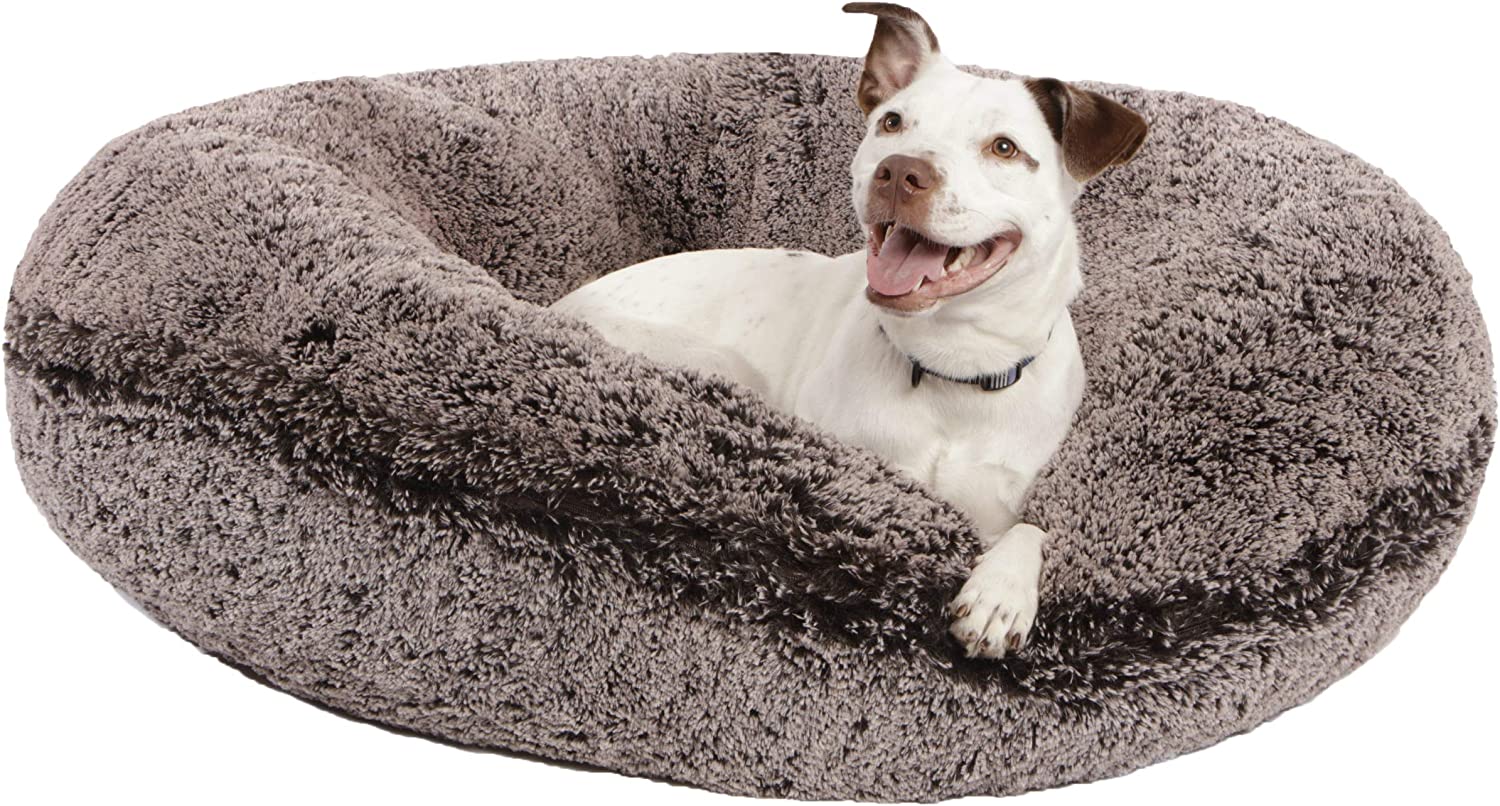 best dog beds for dachshunds photo 5