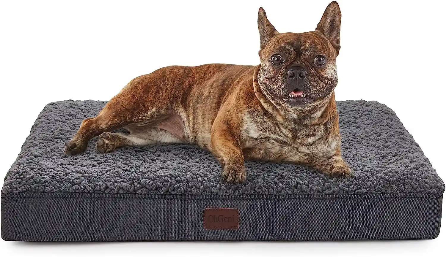 best beds for pomeranians photo 3