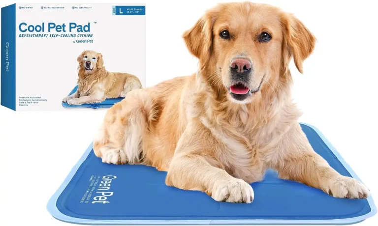 Best Cooling Mats for Dogs: 5 Top Picks