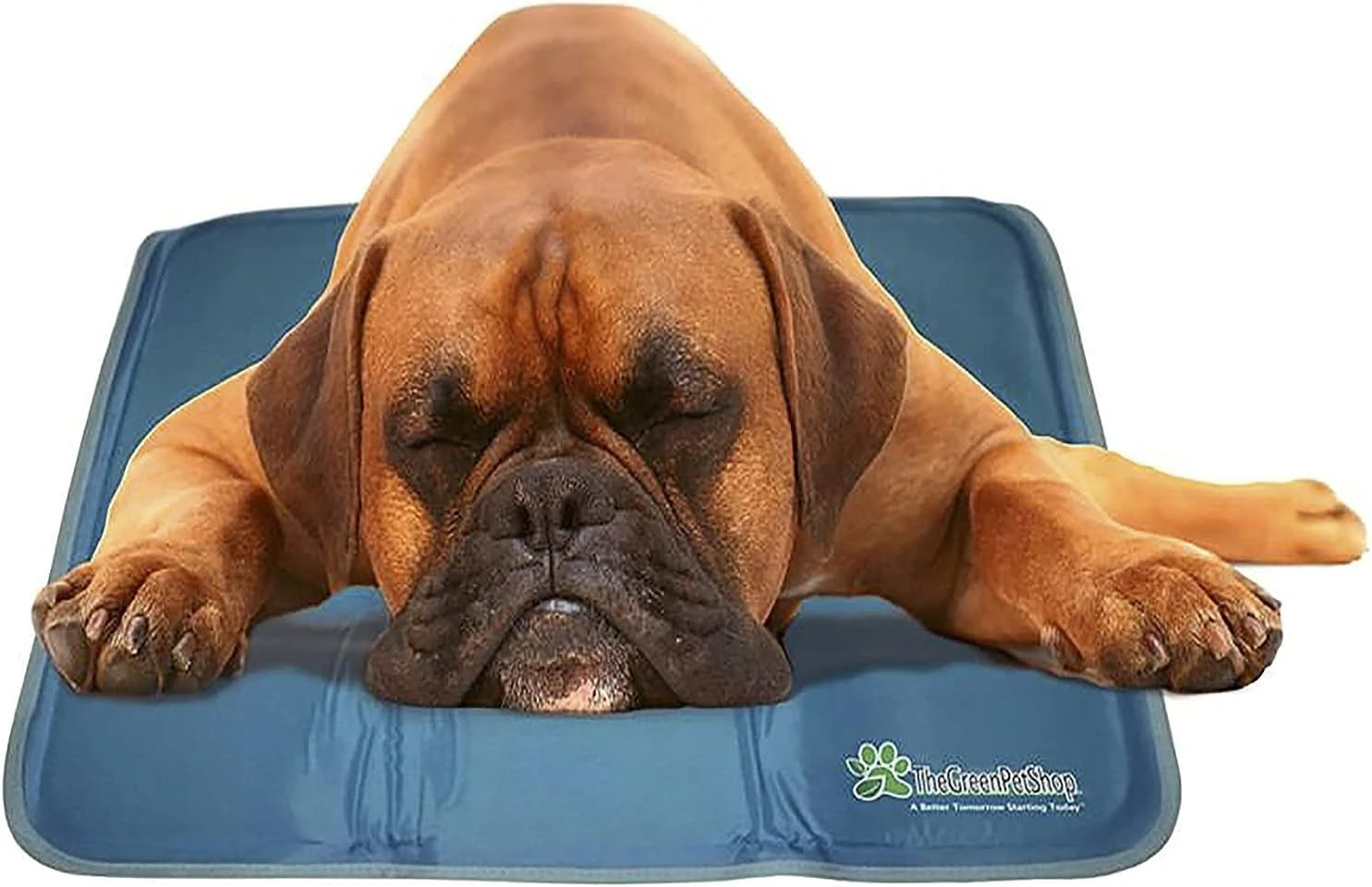 best cooling mats for dogs photo 3