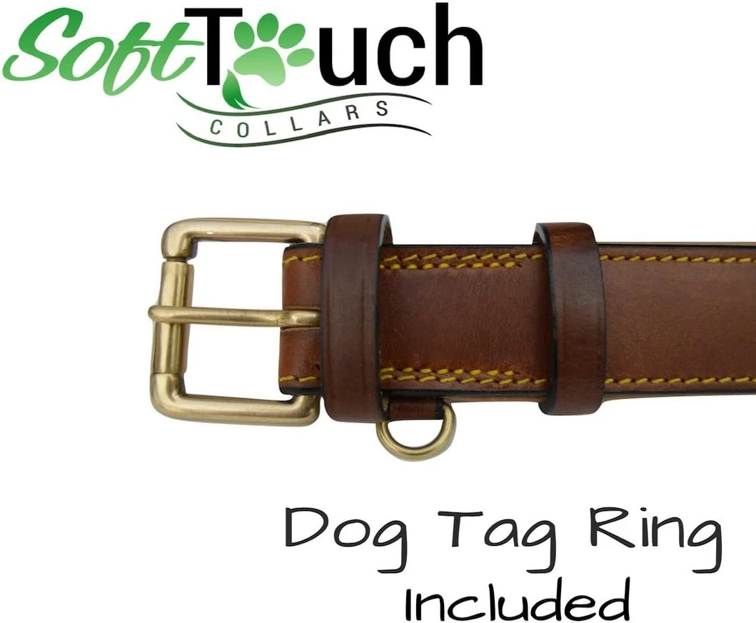 best harnesses for labradors photo 2
