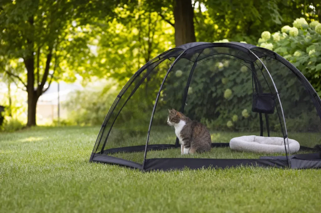 best portable outdoor cat enclosures