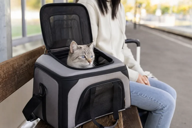 These Are the 15 Best Top-Loading Cat Carriers for Easier Travel – Ultimate Guide